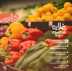 Página 1 en Ofertas de fin de semana en Mercados de Ghallab Egipto