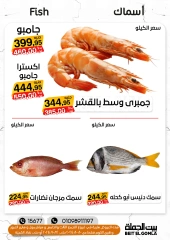 Página 6 en Ofertas de fin de semana en Casa Gomla Egipto