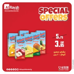 Page 7 in Special Offers at Al Rayah Market Egypt