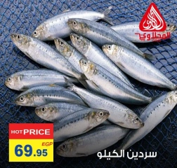 Página 3 en Ofertas de pescado en Mercado El Mahlawy Egipto