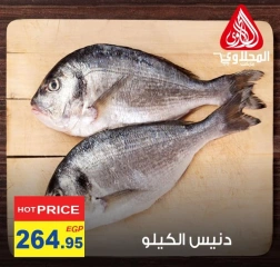 Página 9 en Ofertas de pescado en Mercado El Mahlawy Egipto