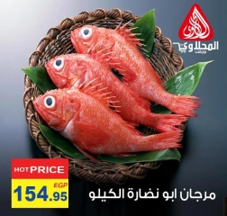 Página 12 en Ofertas de pescado en Mercado El Mahlawy Egipto