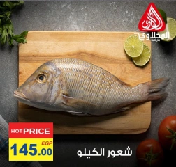 Página 1 en Ofertas de pescado en Mercado El Mahlawy Egipto