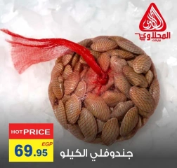 Página 4 en Ofertas de pescado en Mercado El Mahlawy Egipto