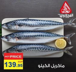 Página 8 en Ofertas de pescado en Mercado El Mahlawy Egipto