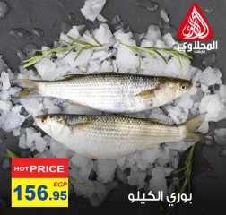 Página 6 en Ofertas de pescado en Mercado El Mahlawy Egipto