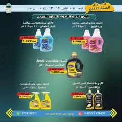 Page 4 in Retirees Festival Offers at Hadiya co-op Kuwait