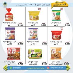 Page 7 in Retirees Festival Offers at Hadiya co-op Kuwait