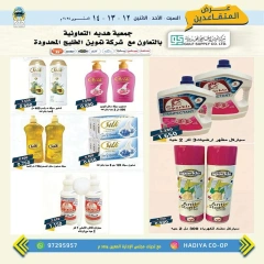 Page 5 in Retirees Festival Offers at Hadiya co-op Kuwait