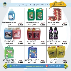 Page 22 in Retirees Festival Offers at Hadiya co-op Kuwait