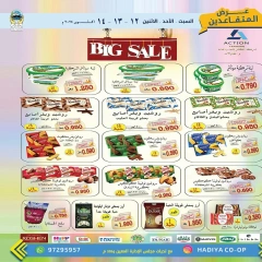 Page 13 in Retirees Festival Offers at Hadiya co-op Kuwait