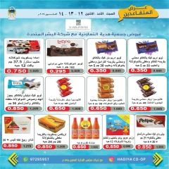 Page 16 in Retirees Festival Offers at Hadiya co-op Kuwait