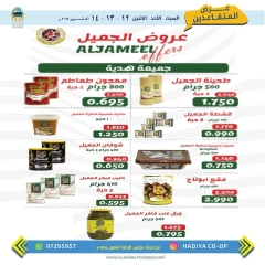 Page 12 in Retirees Festival Offers at Hadiya co-op Kuwait