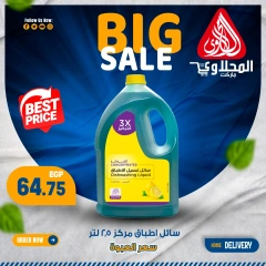 Page 15 in Fresh deals at El Mahlawy market Egypt