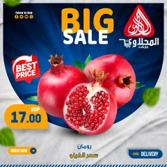 Page 4 in Fresh deals at El Mahlawy market Egypt