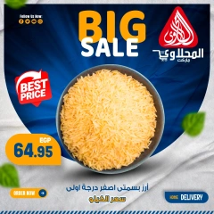 Page 11 in Fresh deals at El Mahlawy market Egypt