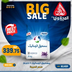 Page 16 in Fresh deals at El Mahlawy market Egypt