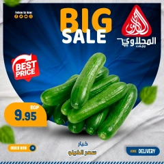 Page 1 in Fresh deals at El Mahlawy market Egypt