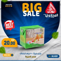 Page 10 in Fresh deals at El Mahlawy market Egypt