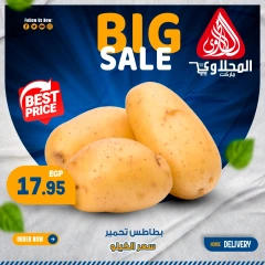 Page 3 in Fresh deals at El Mahlawy market Egypt