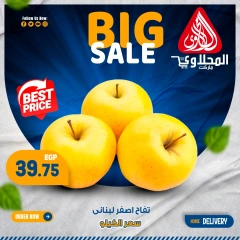 Page 5 in Fresh deals at El Mahlawy market Egypt