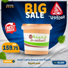 Page 13 in Fresh deals at El Mahlawy market Egypt