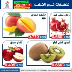 Page 6 in Vegetable and fruit offers at Yarmouk co-op Kuwait