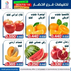 Page 7 in Vegetable and fruit offers at Yarmouk co-op Kuwait