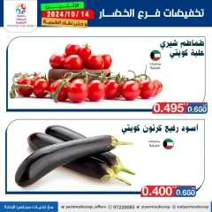 Page 3 in Vegetable and fruit offers at Yarmouk co-op Kuwait