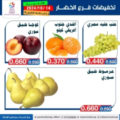 Page 8 in Vegetable and fruit offers at Yarmouk co-op Kuwait