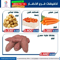 Page 4 in Vegetable and fruit offers at Yarmouk co-op Kuwait