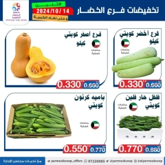 Page 2 in Vegetable and fruit offers at Yarmouk co-op Kuwait