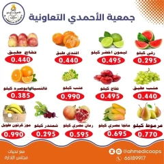 Página 7 en Ofertas de festival de un día en cooperativa Ahmadi Kuwait