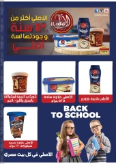 Page 20 in Autumn Sale at Al Rayah Market Egypt