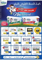 Page 5 in Autumn Sale at Al Rayah Market Egypt