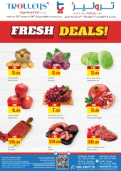 Page 1 in Fresh deals at Trolleys supermarket UAE