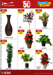 Page 49 in October Sale at Al Morshedy Egypt