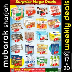 Page 4 in Massive Discount at Al Mubarak UAE