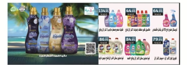 Page 39 in Saving Offers at El Mahlawy market Egypt