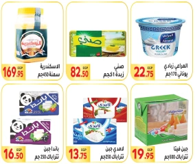 Page 13 in Saving Offers at El Mahlawy market Egypt