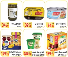 Page 24 in Saving Offers at El Mahlawy market Egypt