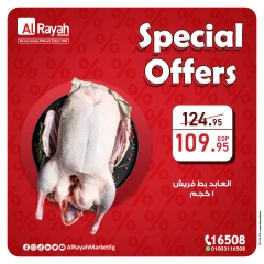 Page 1 in Special Offer at Al Rayah Market Egypt