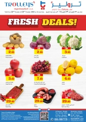 Page 1 in Fresh deals at Trolleys supermarket UAE