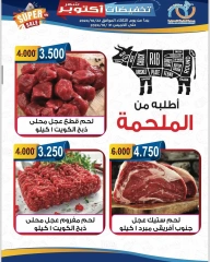 Página 13 en Ofertas de octubre en cooperativa Alegaila Kuwait