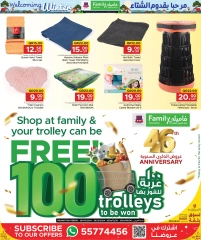 Page 29 in Welcoming Winter Deals at Family Food Centre Qatar