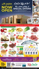 Page 1 in Special offers at North Plaza Mall branch at lulu Qatar