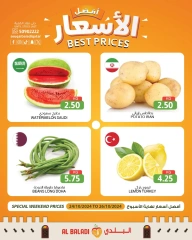 Página 1 en Mejor precio de fin de semana en Souq Al Baladi Katar