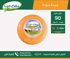 Page 16 in Monthly Offers Catalog at Dina Farms Egypt