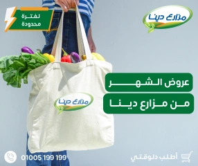 Page 1 in Monthly Offers Catalog at Dina Farms Egypt