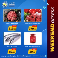 Página 2 en Ofertas de fin de semana en Awlad Ragab Egipto